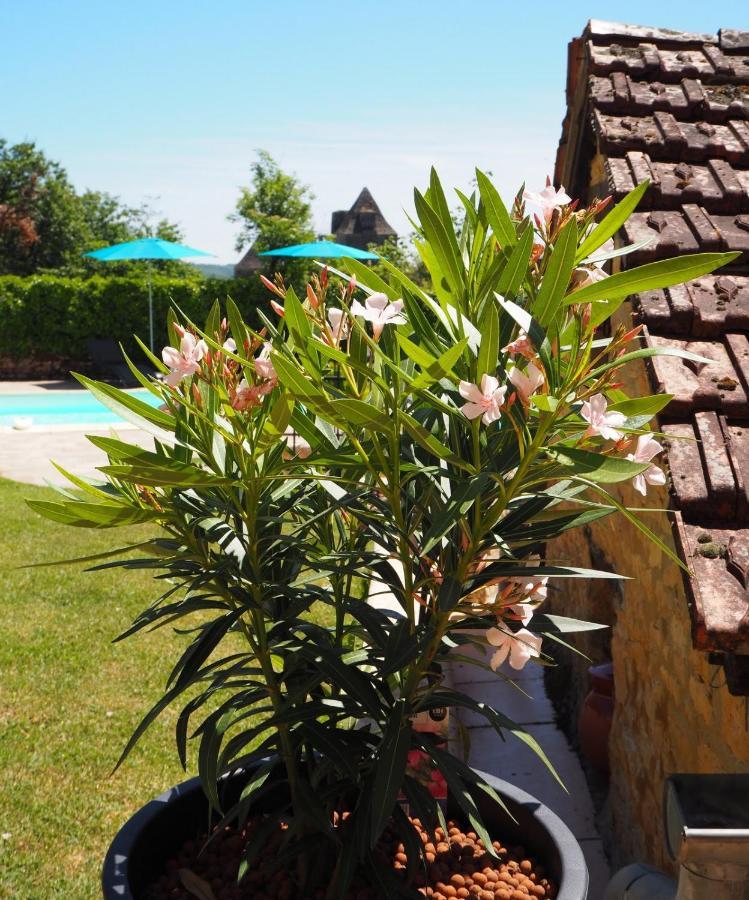 Le Clos De La Musardise - Gites De Charme Avec Piscine Chauffee Salignac Eyvigues 外观 照片